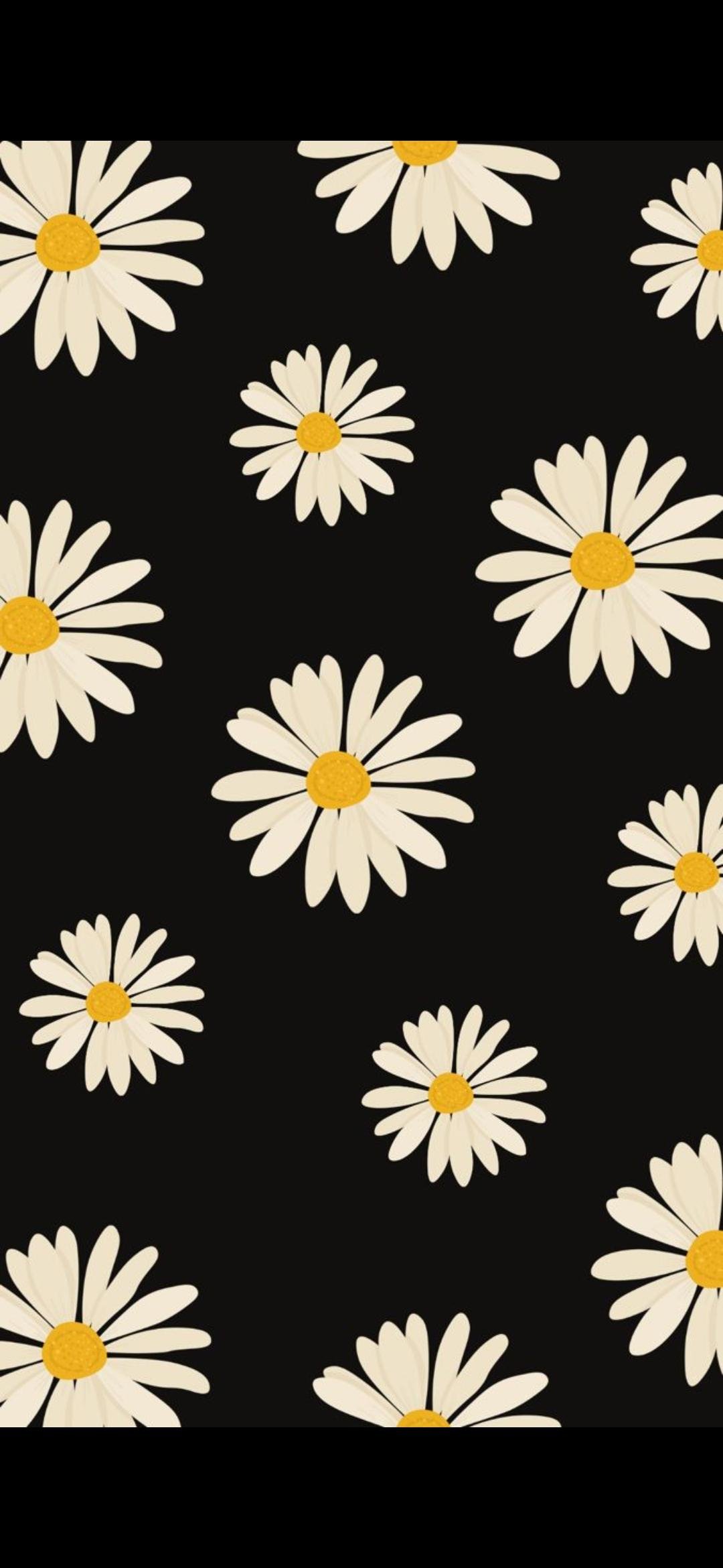 Black Daisies (73)