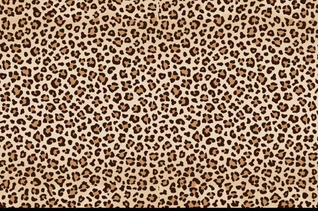 Brown Cheetah