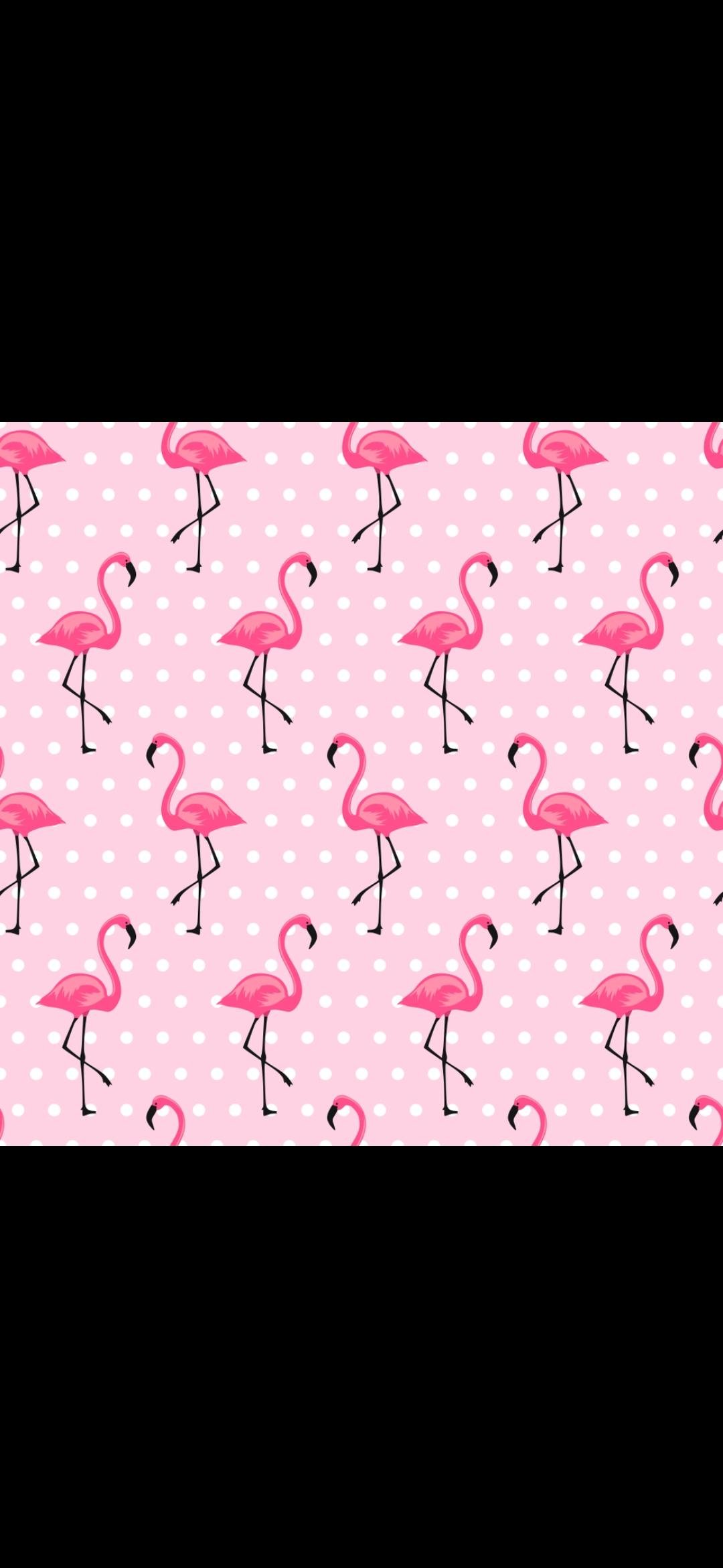 Pink Flamingos (80)