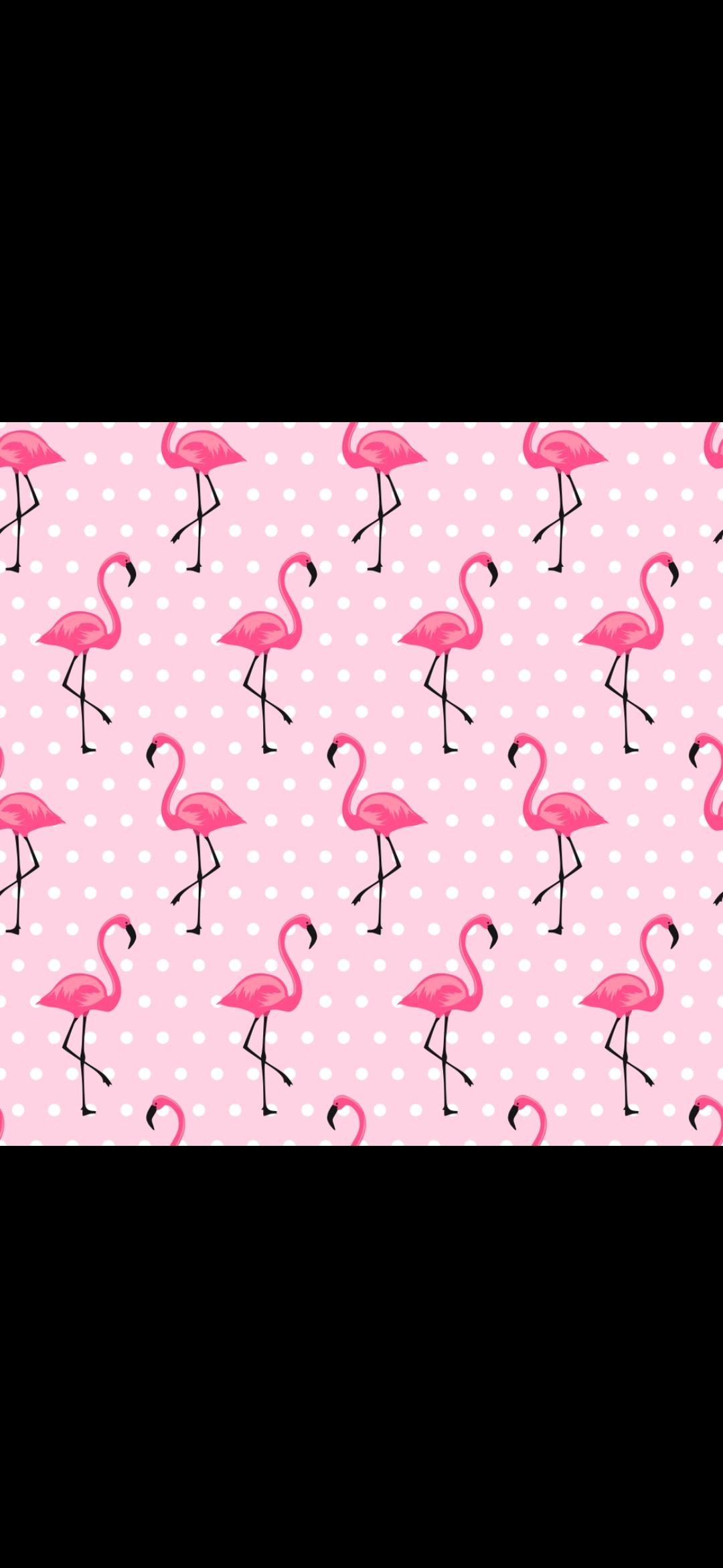 Pink Flamingos (80)