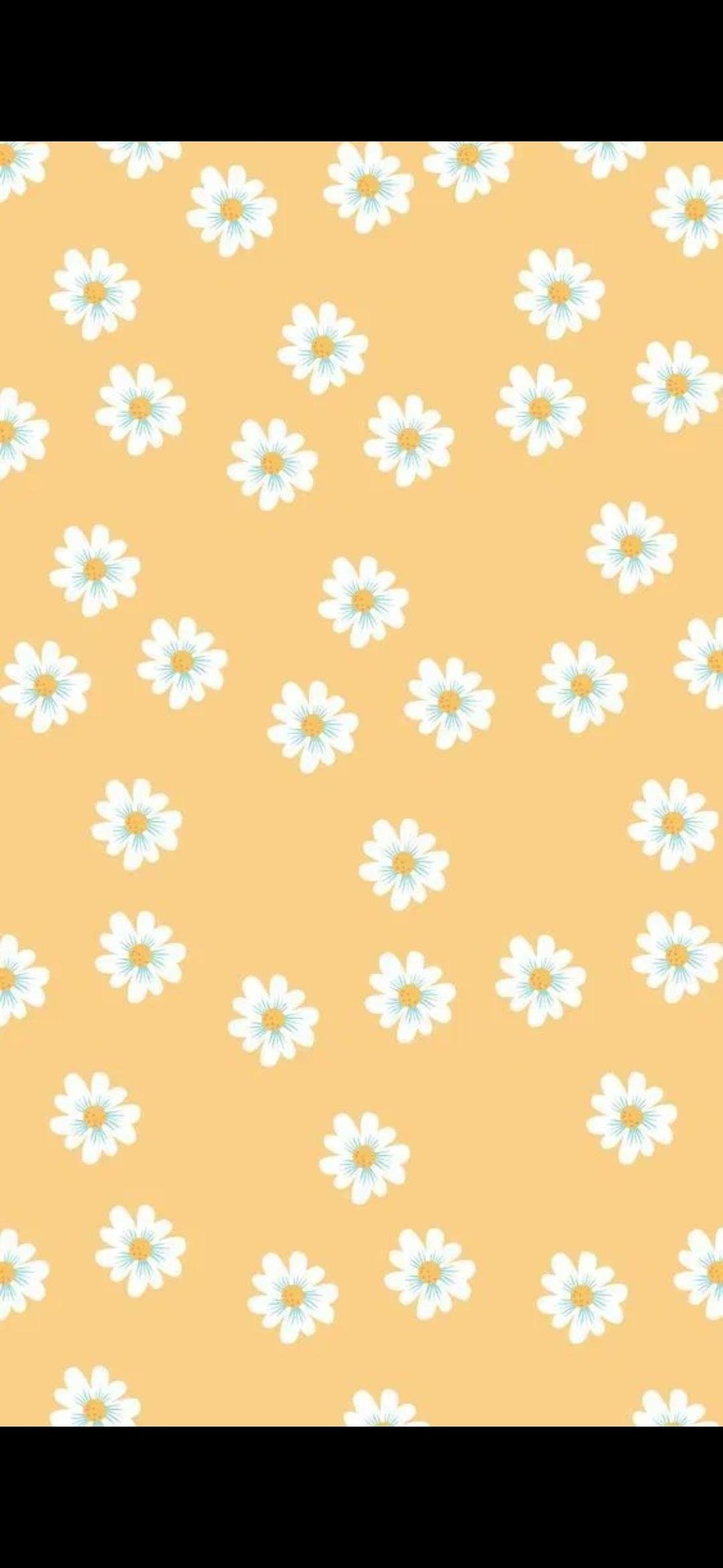 Small Daisies (81)